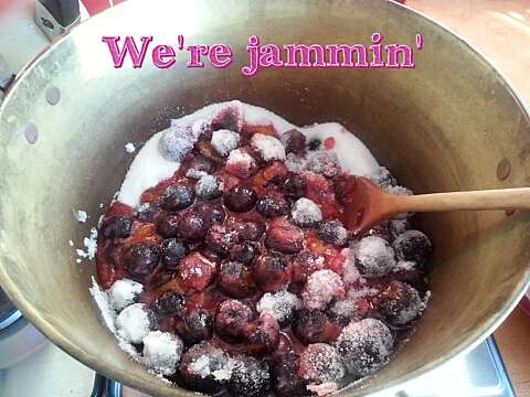 Suzanne Mc Cusker Damson jam SWAGGED