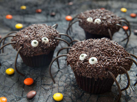 Spider halloween cupcake